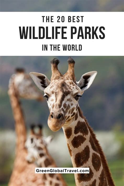 The 20 Best Wildlife Parks And Wildlife Tours In The World