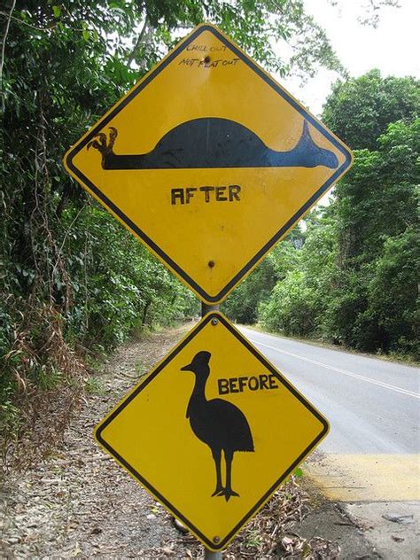 Strange Road Signs In Oz Funny Road Signs Fun Signs Funny Signs