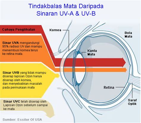 Khas untuk silau malam (lampu led kenderaan) 2. Cermin Mata Silau: Spek Anti Silau HD