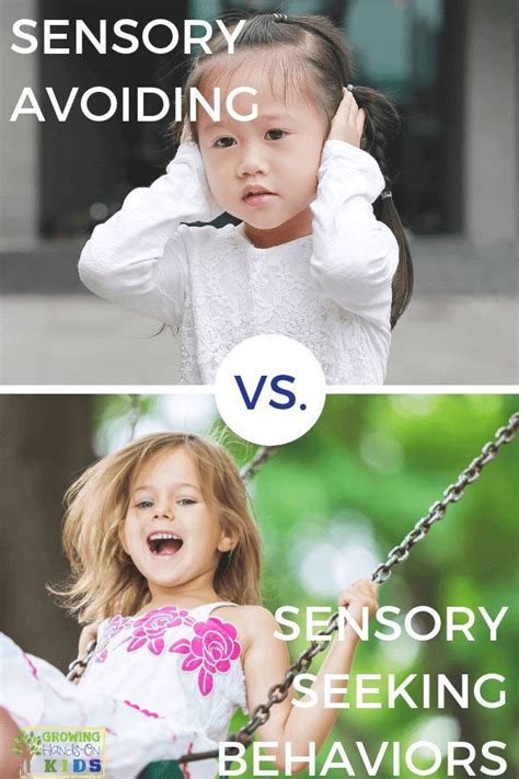 Sensory Avoiding Vs Sensory Seeking Behaviors In Children Sensory