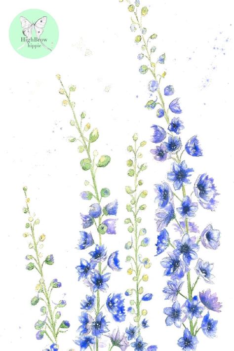Jason is the best tattoo artist i've encountered in charlotte. Larkspurs Watercolor | Flower drawing, Larkspur tattoo ...