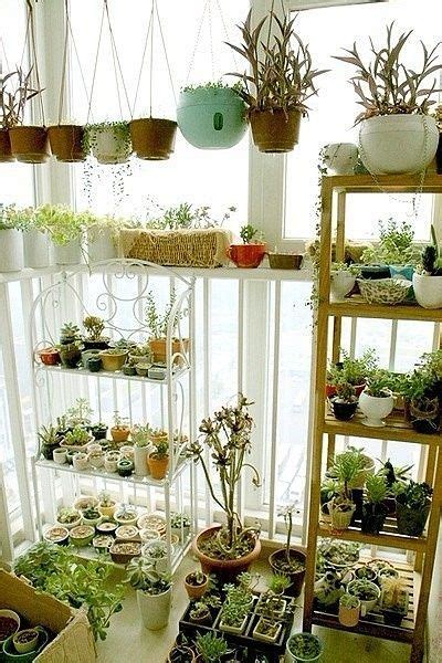 If you're wondering how to hang a planter from the ceiling, i'm going to walk you through the process. 温暖的 花房-嘀咕网 - 收集高清唯美图片，分享你所爱，结识心朋友 | Indoor plants, Plants ...