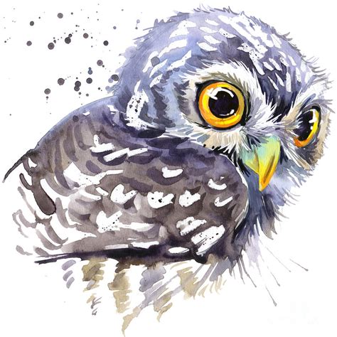 Cute Owl Watercolor Illustration Digital Art By Faenkova Elena Pixels