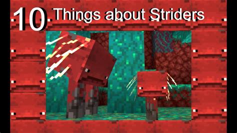 Minecraft Striders Ten Notable Things About The New Strider Mob In The Nether Update
