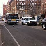 Mta Bus Service Phone Number Pictures