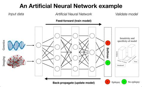 An Artificial Neural Network Example Here Is A Schematic Overview Of Free Nude Porn Photos