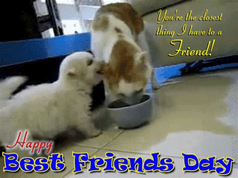 My Cute Best Friends Day Ecard Free Happy Best Friends Day Ecards