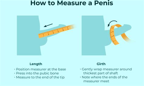 How To Measure Your Penis Size And Circumference