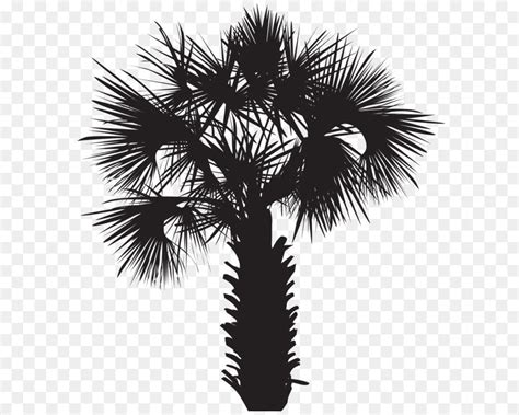 Free Silhouette Of Palm Tree Download Free Silhouette Of Palm Tree Png