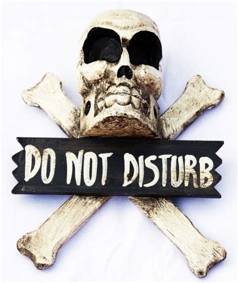 Skull Do Not Distrub Enter Skull Wood Skulls Deco Wooden Sign Ebay
