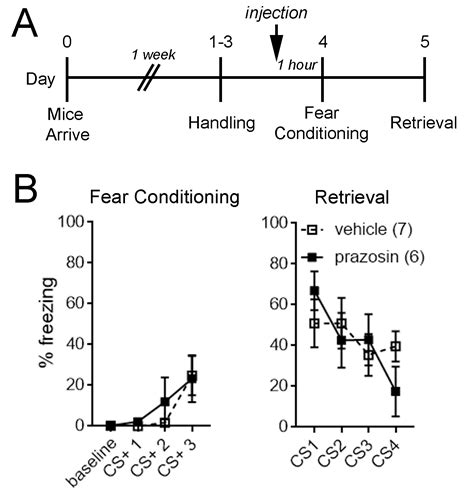 Prazosin During Fear Conditioning Facilitates Subsequent Extinction In