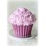 Pink Giant Cupcake  CakeCentralcom