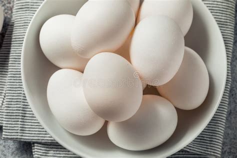 Raw Organic Cage Free White Eggs Stock Image Image Of Shell Eggs