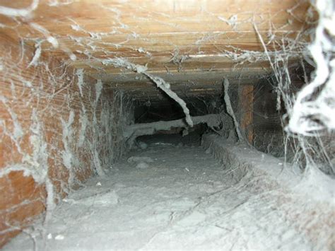 There is visible mold growth on the air ducts. Can I Clean My Home's Air Ducts Myself? : Home Owners ...
