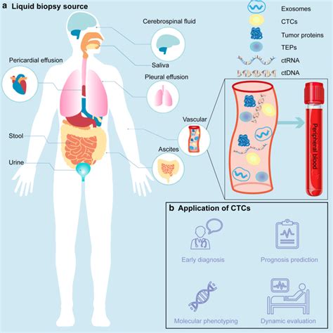 Basic Introduction Of The Liquid Biopsy Approaches And Applications Of