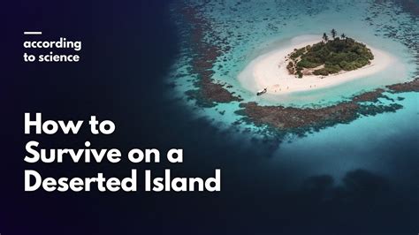 how to survive being stranded on a deserted island according to science ww3 survival
