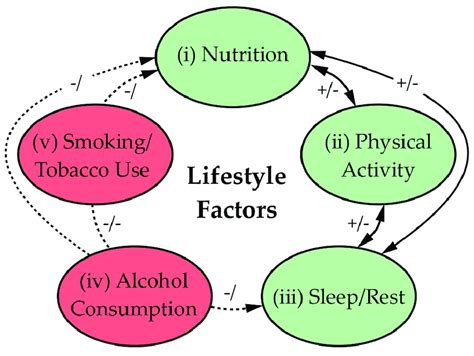 Lifestyle Factors That Affect Clinical Health Outcomes In Covd 19