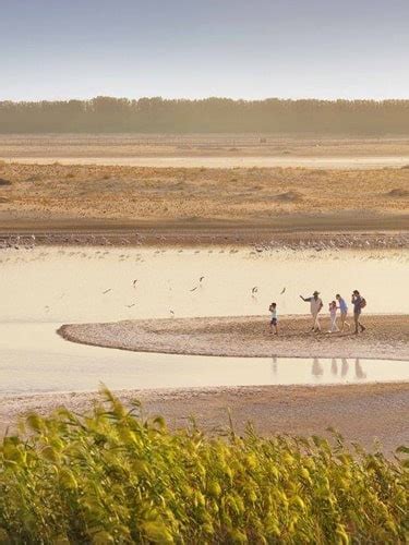 Hotels near al wathba cycle track. Al Wathba Fossil Dunes Morning 4x4 Tour (With Rates ...