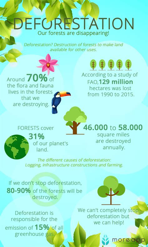 Take Care Of The Environment Deforestation Poster Deforestation