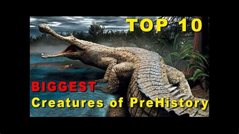 Top 10 Largest Prehistoric Creatures Ever Youtube