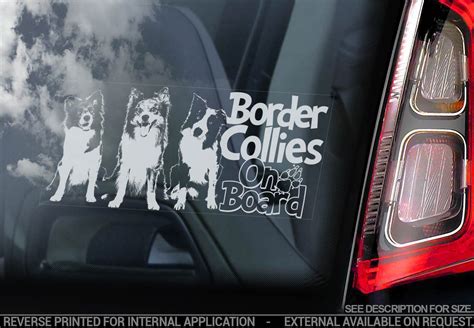 Border Collies High Detail Car Window Sticker Size 220 X 100mm Show