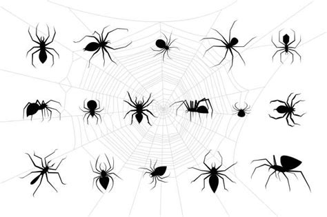 Spider Bite Illustrations Royalty Free Vector Graphics And Clip Art Istock