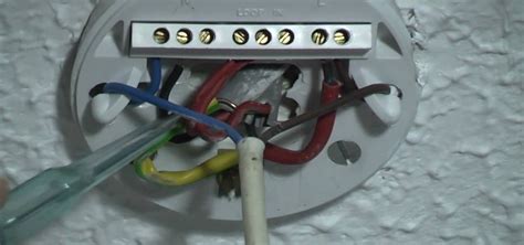 Ceiling Rose Circuit Diagram Wiring Diagram And Schematics