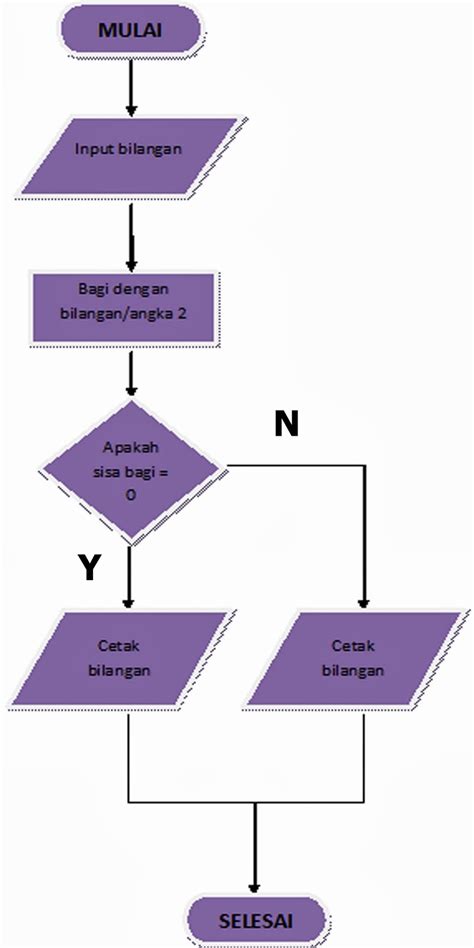 Algoritma Flowchart Dan Program Menghitung Determinan Matriks Odo 2x2