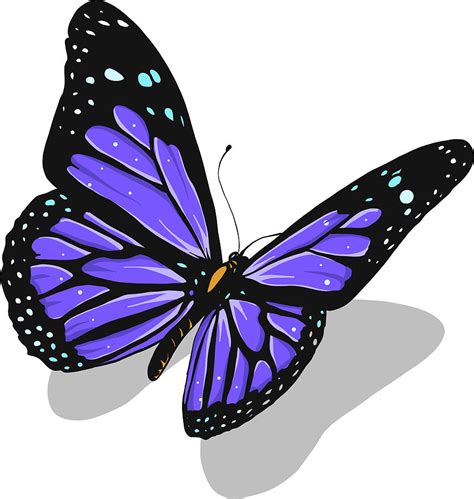 Butterfly Pink And Purple Transparent Png Clip Art Image
