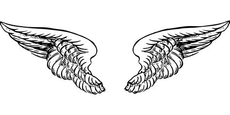 White Angel Wings Png Clip Art Library
