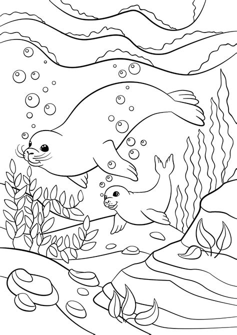 Monk Seal Swimming Underwater Coloring Page Monk Seal Coloring Pages