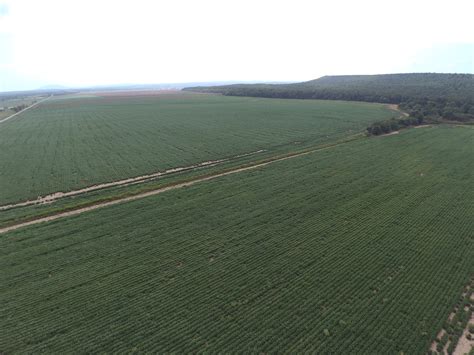 1000 Acres Farm For Sale Pittsburg County Ok Land And Farm