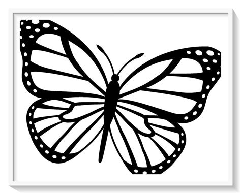 Dibujos De Una Mariposa Para Pintar Mariposas Mariposa Rincondibujos