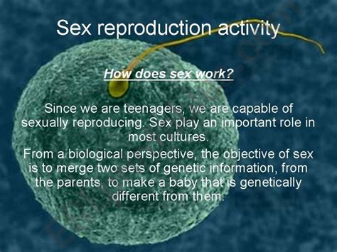 Esl English Powerpoints Simple Present Questions About Sex Reproduction