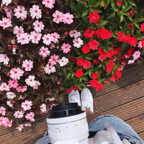 Flowers arranged by top rated local florist. Spring is here! | Flowers singapore, Fresh flower bouquets ...
