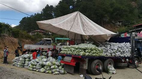 Mankayan Pocket Miners Deliver Relief Goods To Taal Victims Herald