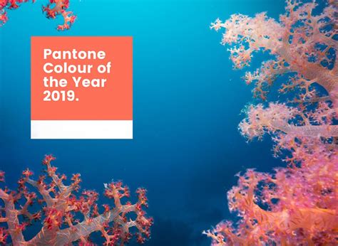 Postupně oznamujeme další a další vystupující na příštích colours. Pantone Colour of the Year 2019 - Living Coral 16-1546