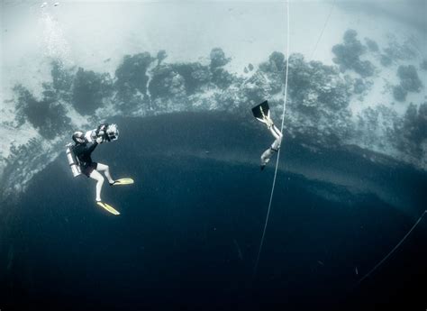 Competition Freediving Fred Buyle Nektos