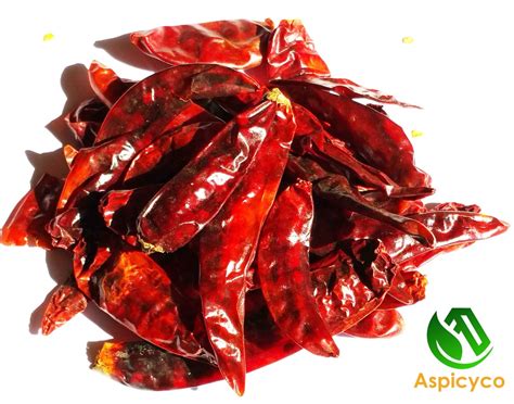 Whole Red Chillies Dry Red Chilli Pods Hot Authentic Indian Etsy
