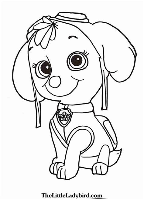 Paw Patrol Kleurplaat Sky