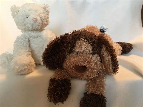 Buy jellycat medium bunglie kitten: Bunglie Brown Tan Retired JellyCat Floppy Puppy Dog & Fuddlewuddle Kitten 8" #Jellycat ...