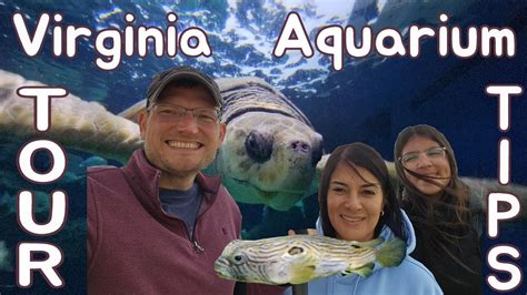 Virginia Aquarium And Marine Science Center March 2023 Tour And Tips