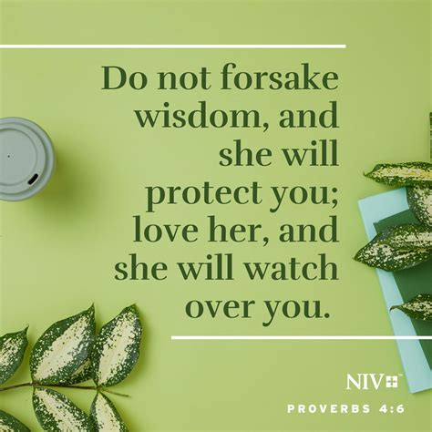 Niv Verse Of The Day Proverbs 46