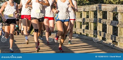 High School Cross Country Girls Race Over A Bridge Stock Photo Image
