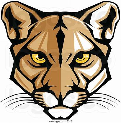 Clipart Cougar Clip Pumas Cartoon Panther Florida