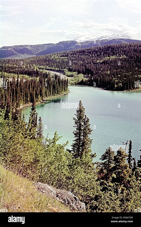 Emerald Lake Yukon Territory Canada Stock Photo Alamy