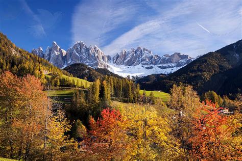 Funes Valley In Autumn With Odle Peaks Dolomites Italy Larch Tree