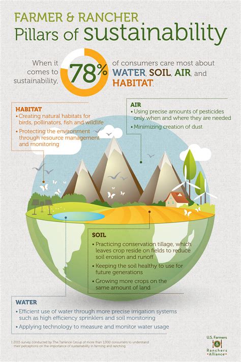 Pillars Of Sustainability Infographic Graphic Design Infographic
