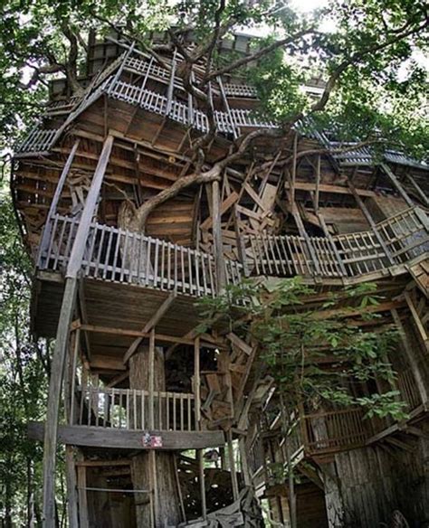 Most Amazing Tree Houses In The World Worlds Most Amazing Tree Houses