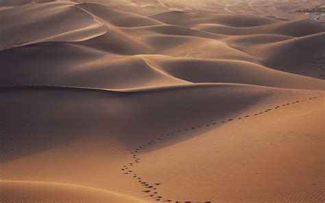 Download Wallpaper 3840x2400 Desert Dunes Sand Traces Landscape 4k Ultra Hd 1610 Hd Background